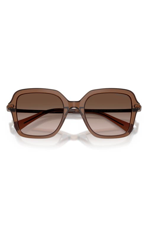 Swarovski 50mm Small Irregular Sunglasses In Brown