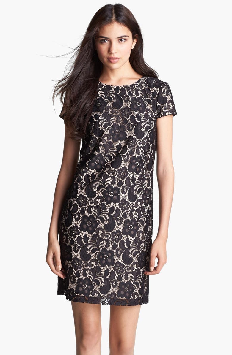 Ivy & Blu Lace Shift Dress | Nordstrom