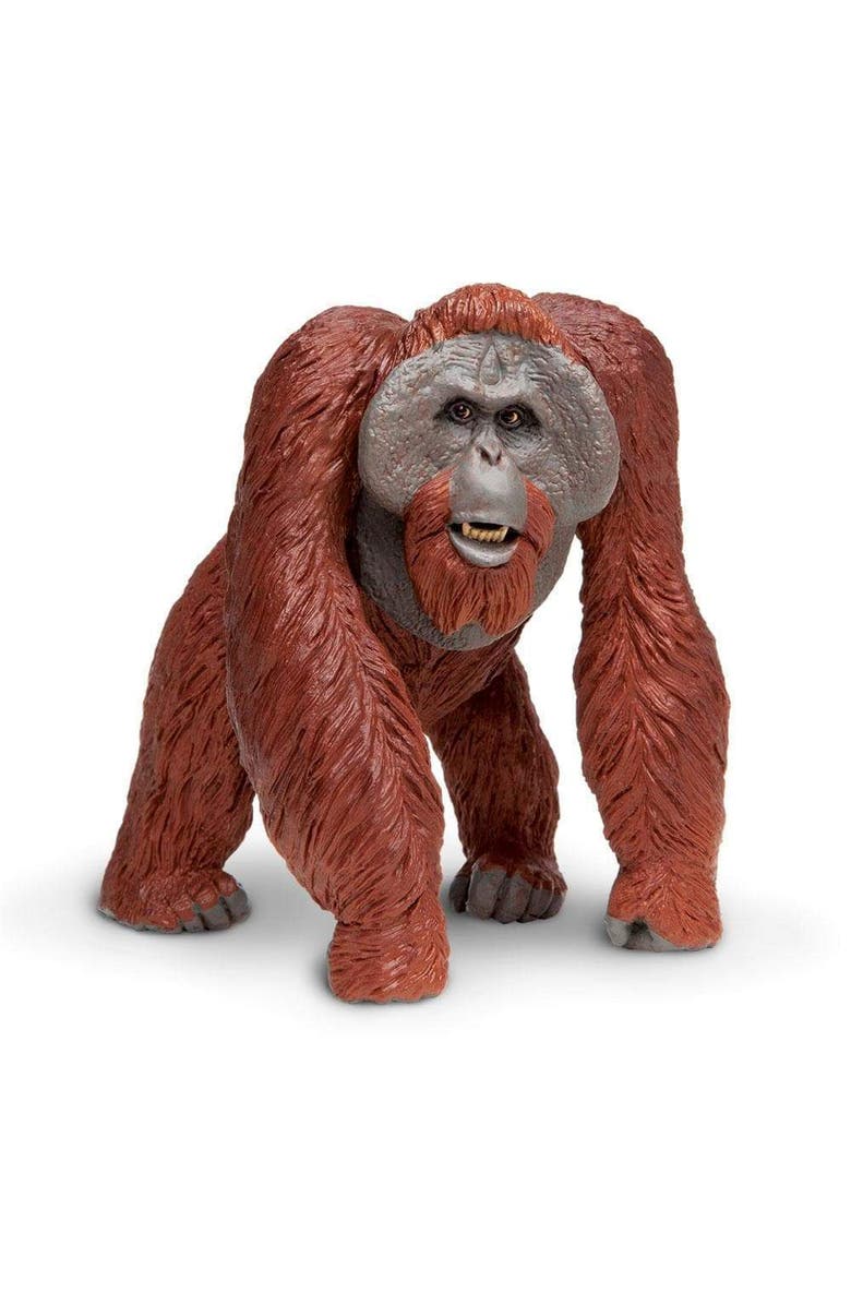 Safari Ltd. Bornean Orangutan Toy, Main, color, NO COLOR