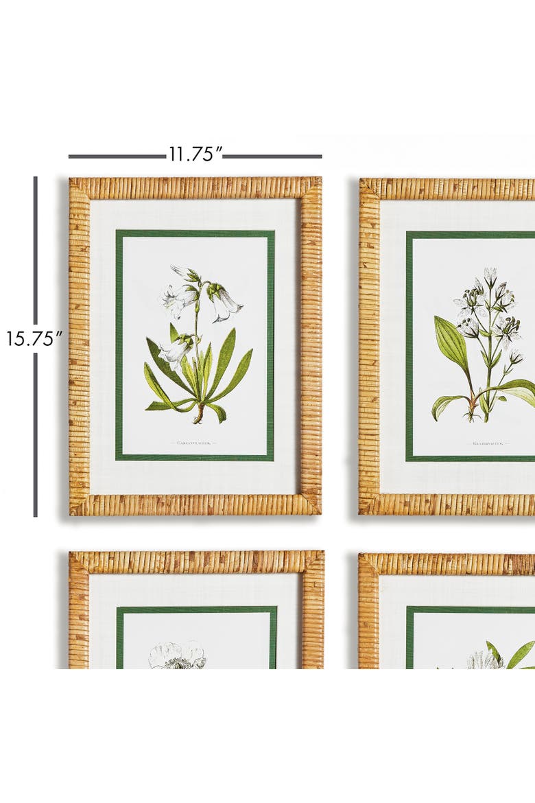 White Floral Flowers Decorative Study Framed Wall Art Prints Frame, Set of 4, Alternate, color, Green