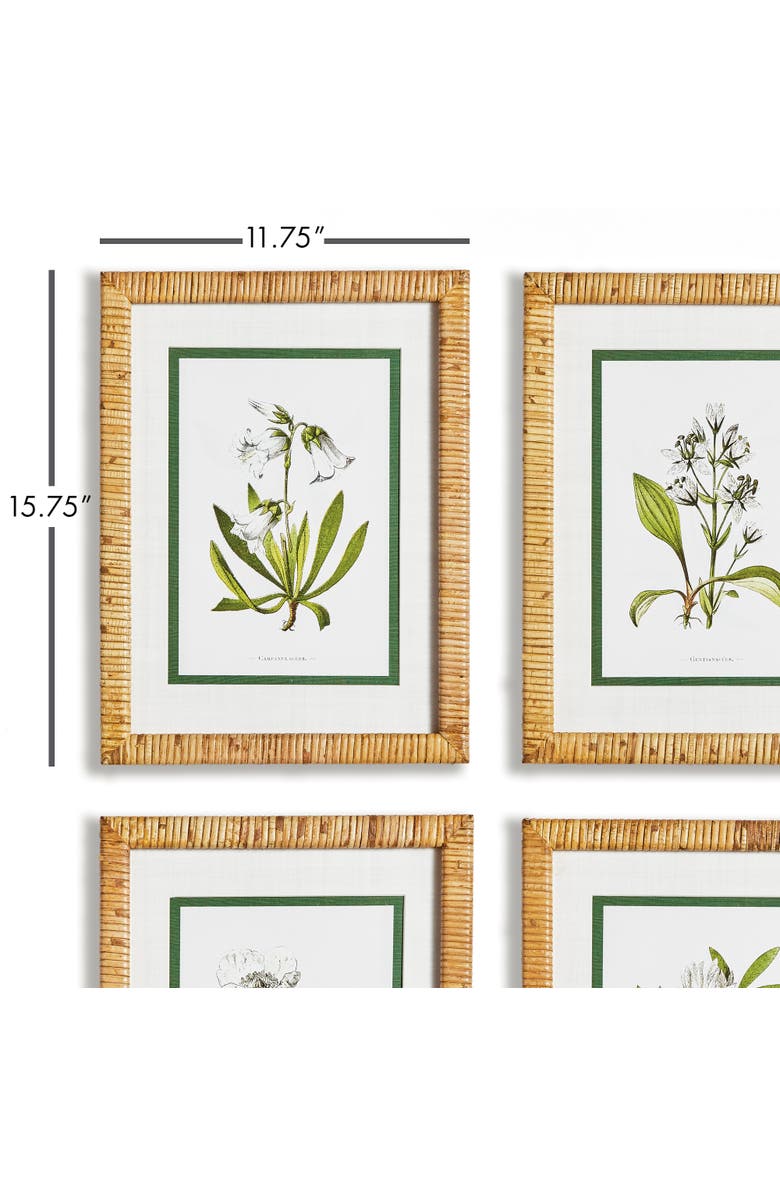 Napa Home & Garden White Floral Flowers Decorative Study Framed Wall Art Prints Frame, Set of 4, Alternate, color, Green