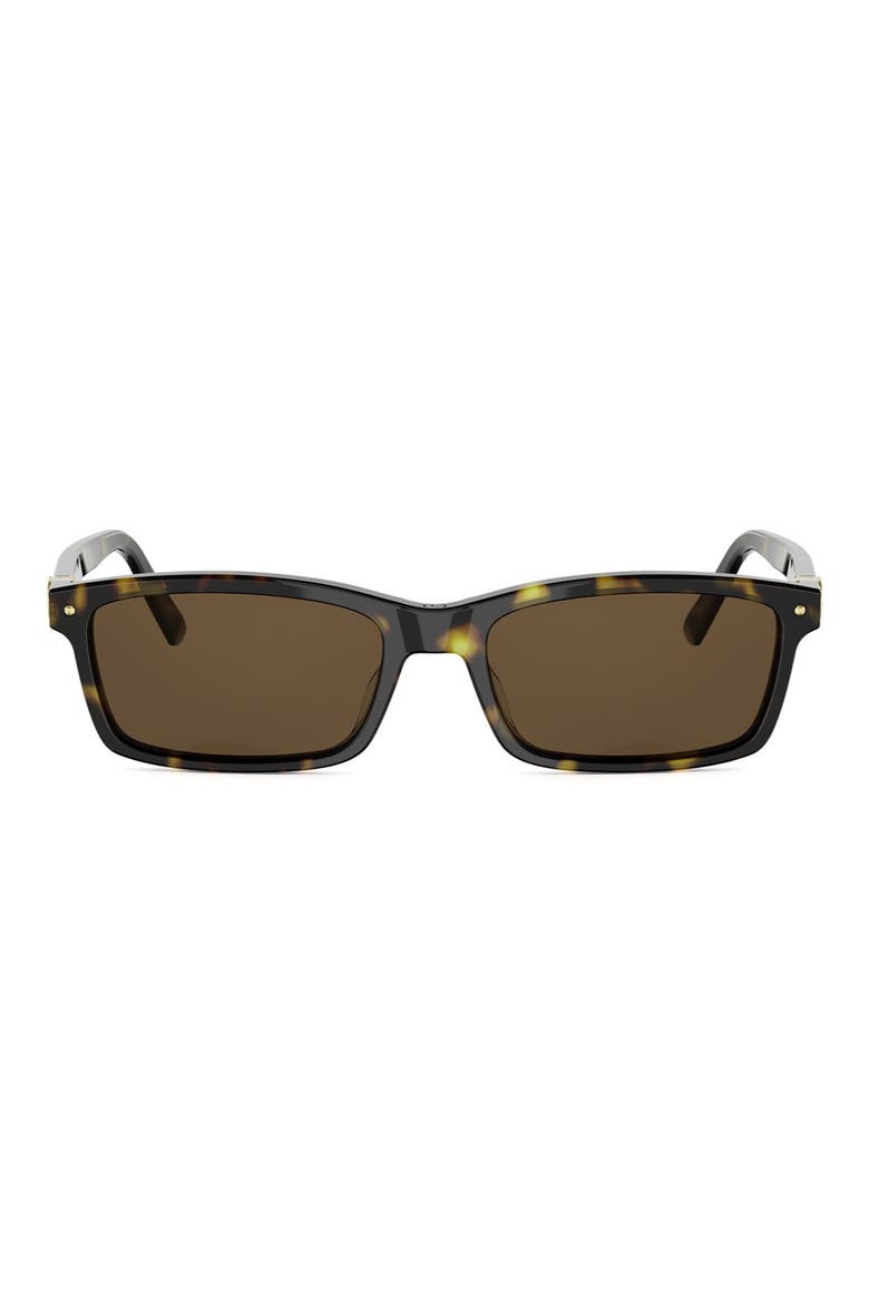 Petit CD S1I 54mm Rectangular Sunglasses, Main, color, DHAV/BRN