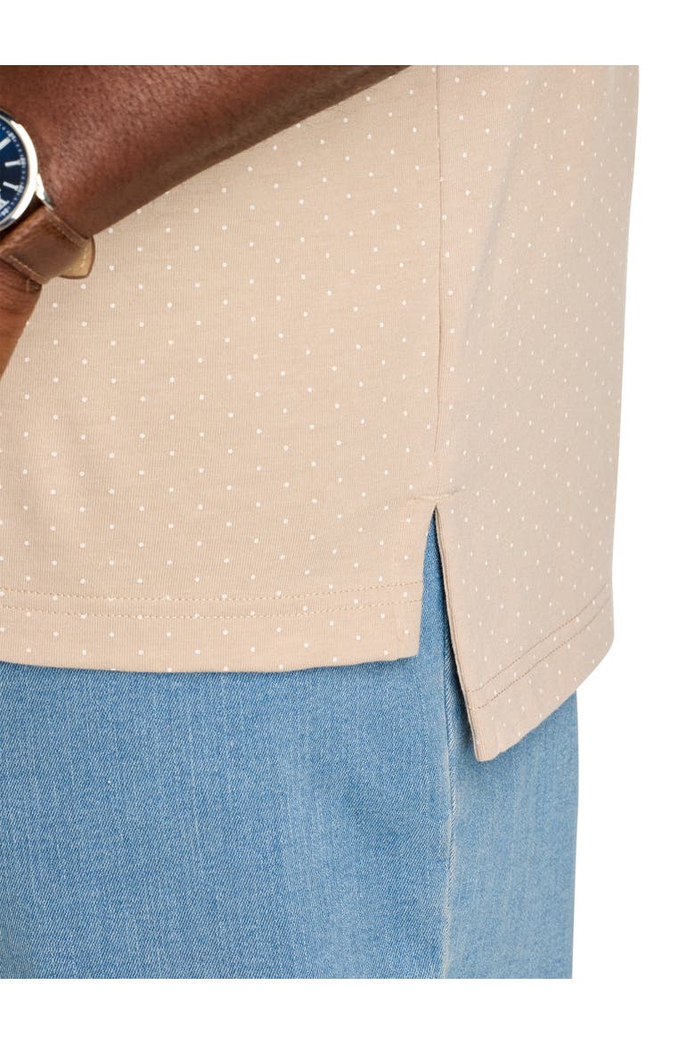 Big & Tall Pin Dot Printed Polo Shirt, Alternate, color, OATMEAL PRINT