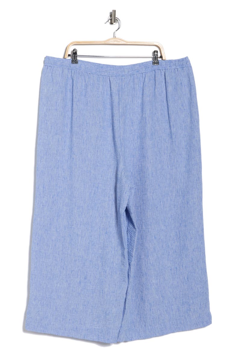 Crop Drawstring Pants, Alternate, color, CHMRY493-CHAMBRAY