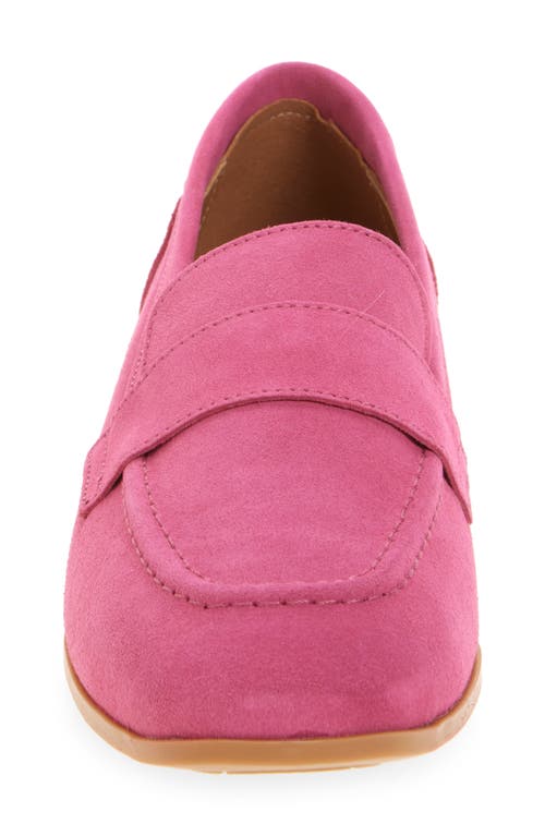 Cordani Ardelle Moc Toe Loafer In Fuschia Suede