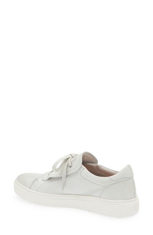 Blackstone Slip-on Sneaker In Animal Print