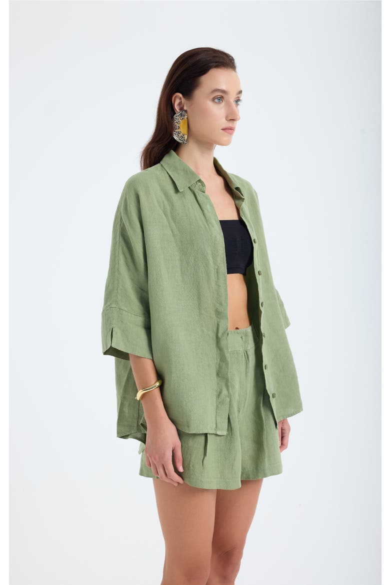 Iyan 100% Linen Oversized Button-Up Shirt, Alternate, color, Green
