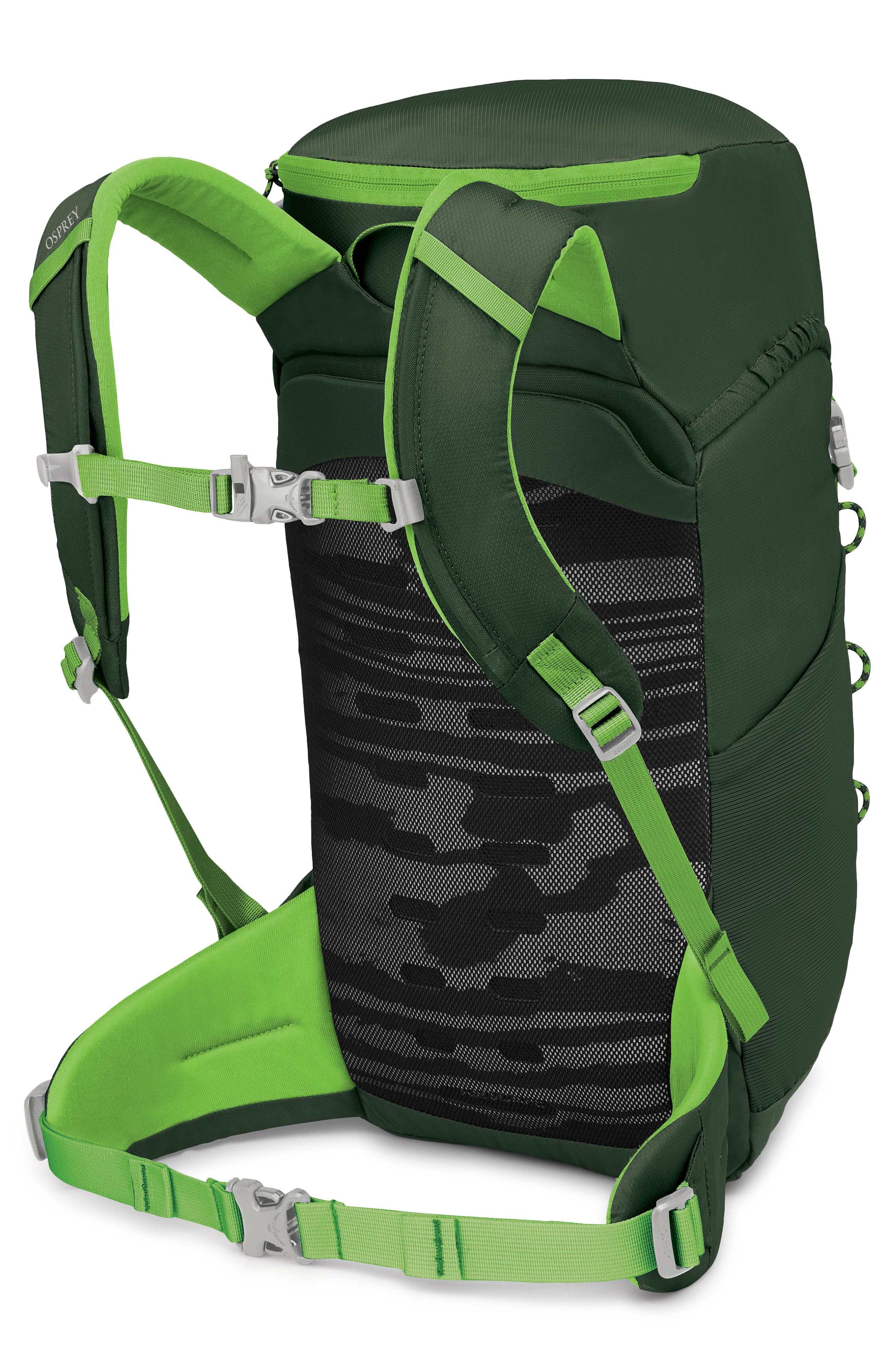 osprey backpack jet 18L Kid's Hiking Backpack, Euphoria Purple : Sports & Outdoors including a spacious main section Osprey backpack Jet 12 Green