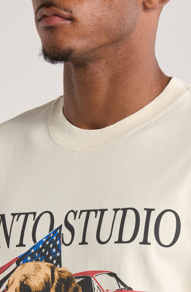 SANTO STUDIO Americana Cotton Graphic T-Shirt, Alternate, color, 