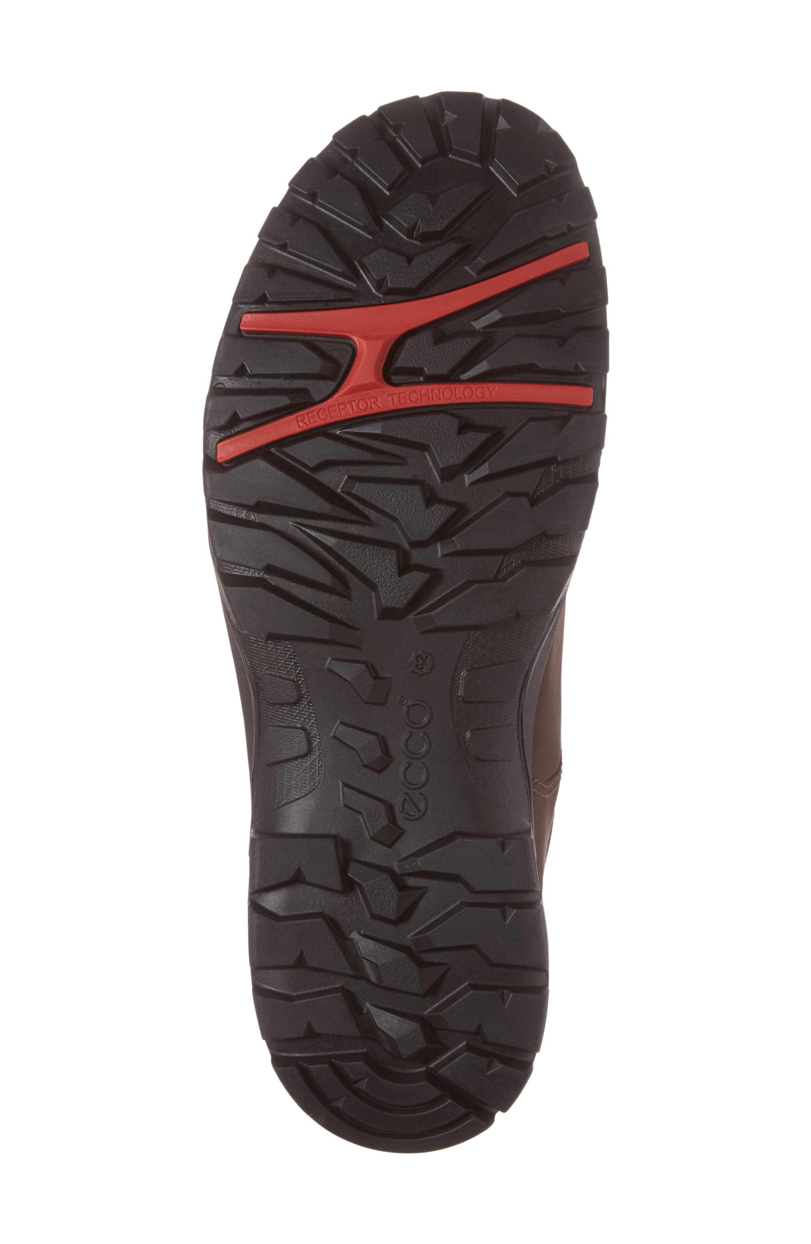Biom Hike 1.1 Hiking Shoe, Alternate, color, MOCHA