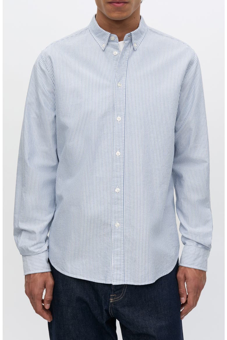 Saliam Cotton Button Down Shirt, Main, color, OXFORD NARROW STRIPE