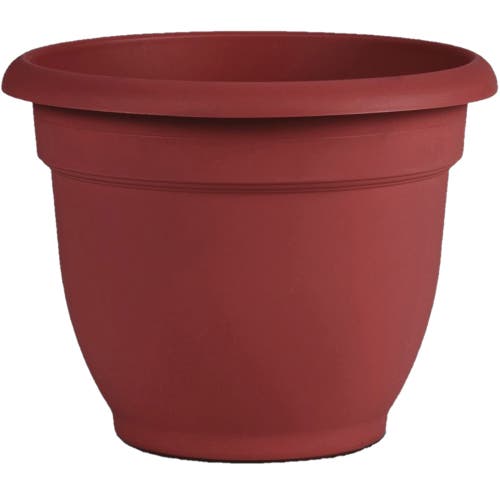 Bloem Ariana Pot Planter 12 Inch Burnt Red Resin Pot, Selfwatering, 3 Gallon In Brown