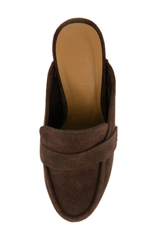 Splendid Vesta Clog In Brown