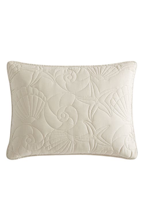 Beatrice Home Fashions Caribbean Joe Solid Outlined Shell Quilt Set