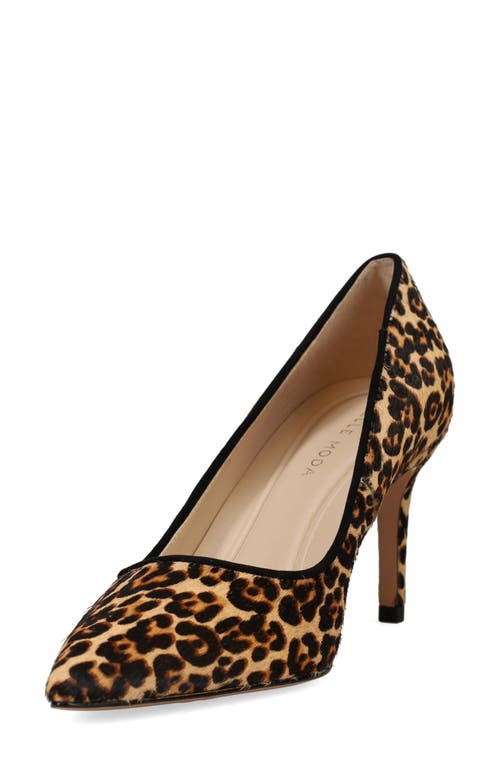 Pelle Moda Lizel 2 Pointed Toe Pump In Black