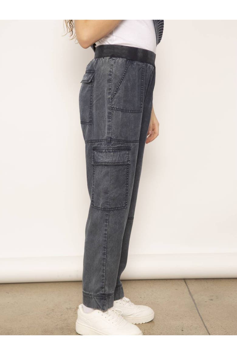 Beck Tencel Cargo Trouser, Alternate, color, BLUE
