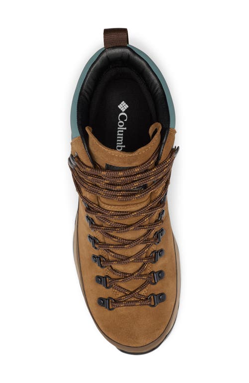 Columbia Newton Alpine Waterproof Hiking Boot In Brown