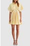 selected Yellow Stripe