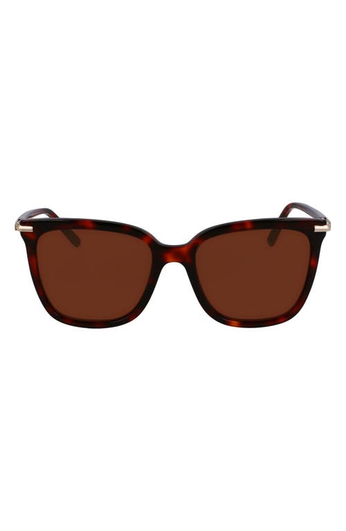 https://n.nordstrommedia.com/it/1a768eb6-1d43-4e74-b2cd-eedb356e511d.jpeg?w=500