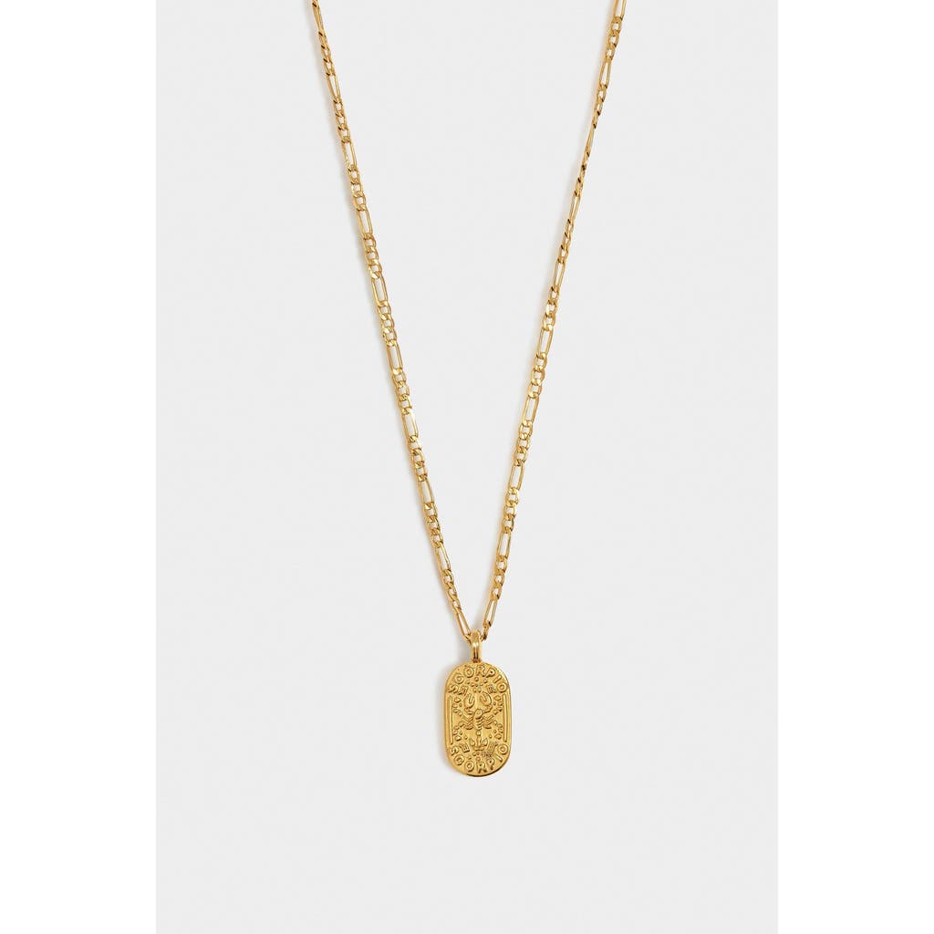 Katie Loxton 'scorpio' Waterproof Gold Zodiac Necklace In Brown