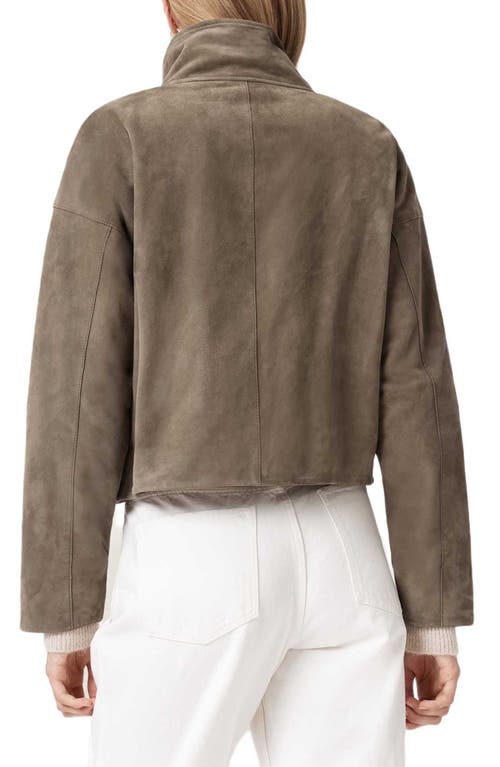 Allsaints Ryder Suede Jacket In Brown