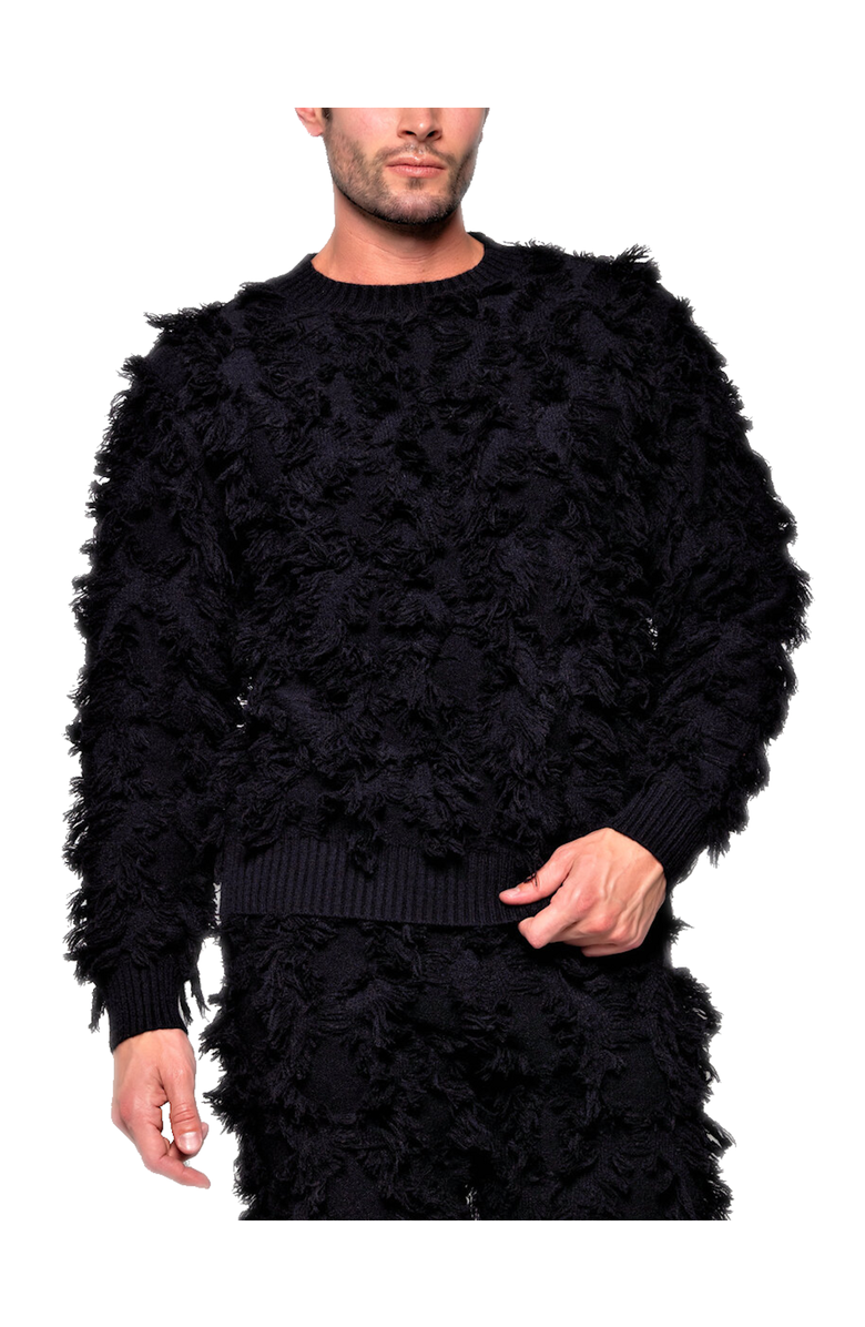 Dai Moda Men's Fusion Crew Neck Sweater, Main, color, Black