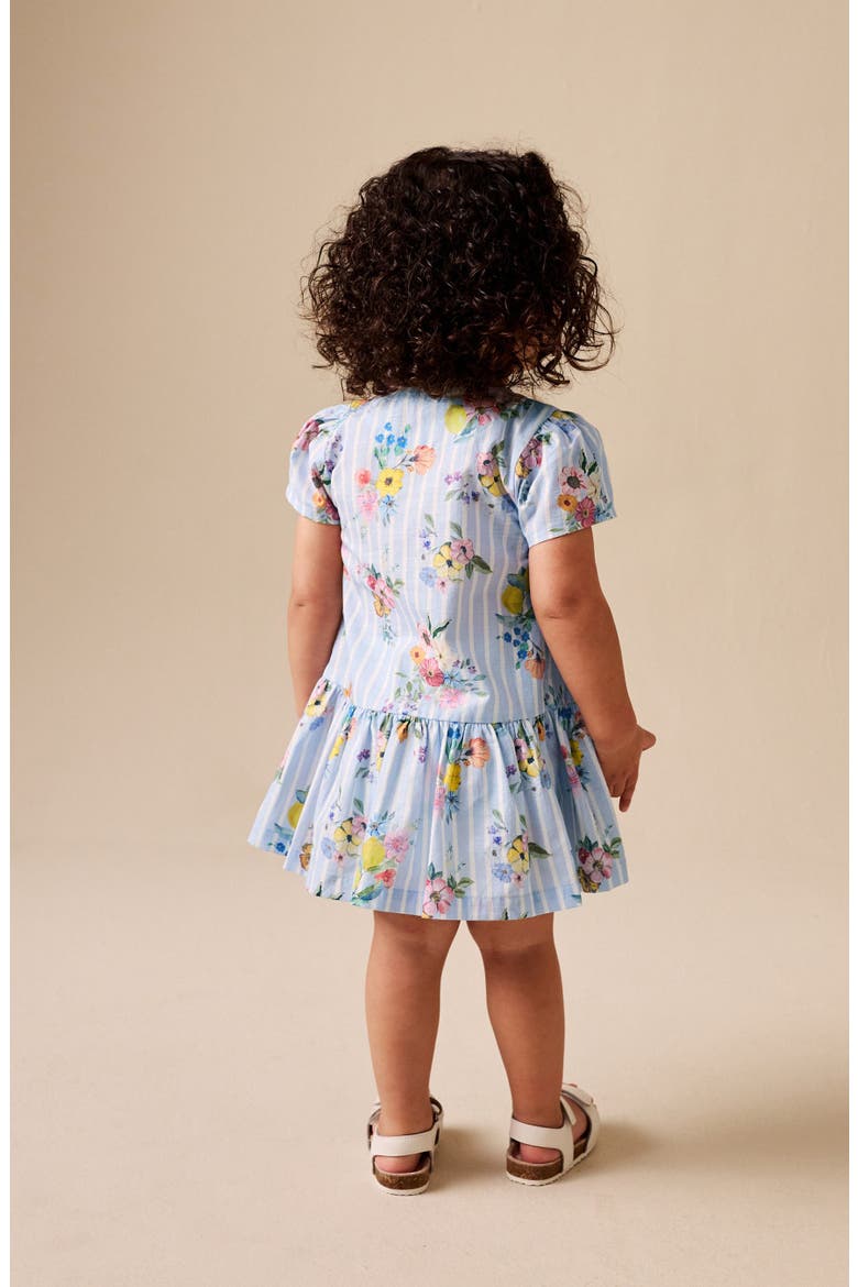 Kids' Floral Stripe Cotton Button-Up Dress, Alternate, color, BLUE