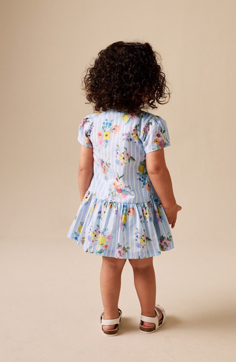 NEXT Kids' Floral Stripe Cotton Button-Up Dress, Alternate, color, Blue