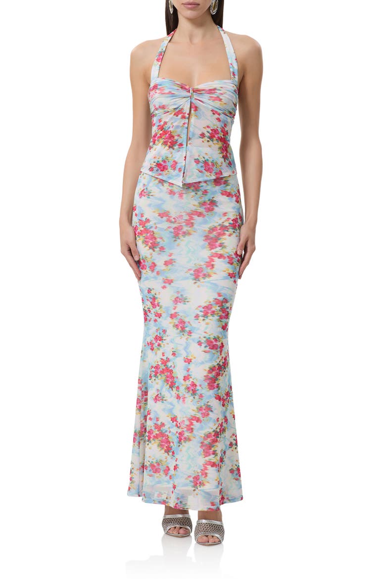 Toka Floral Halter Top, Alternate, color, DIGITAL FLORAL