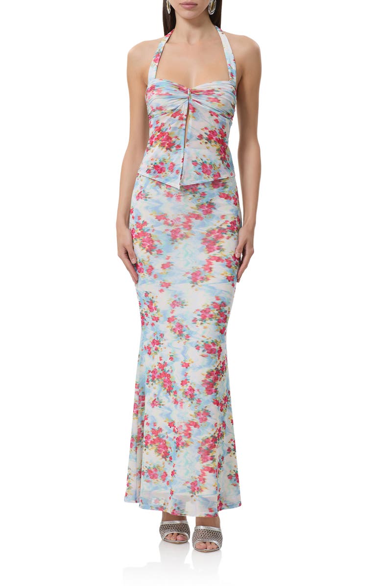 AFRM Toka Floral Halter Top, Alternate, color, Digital Floral