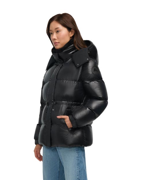 Pajar Halo Puffer With Removable Hood In Multi