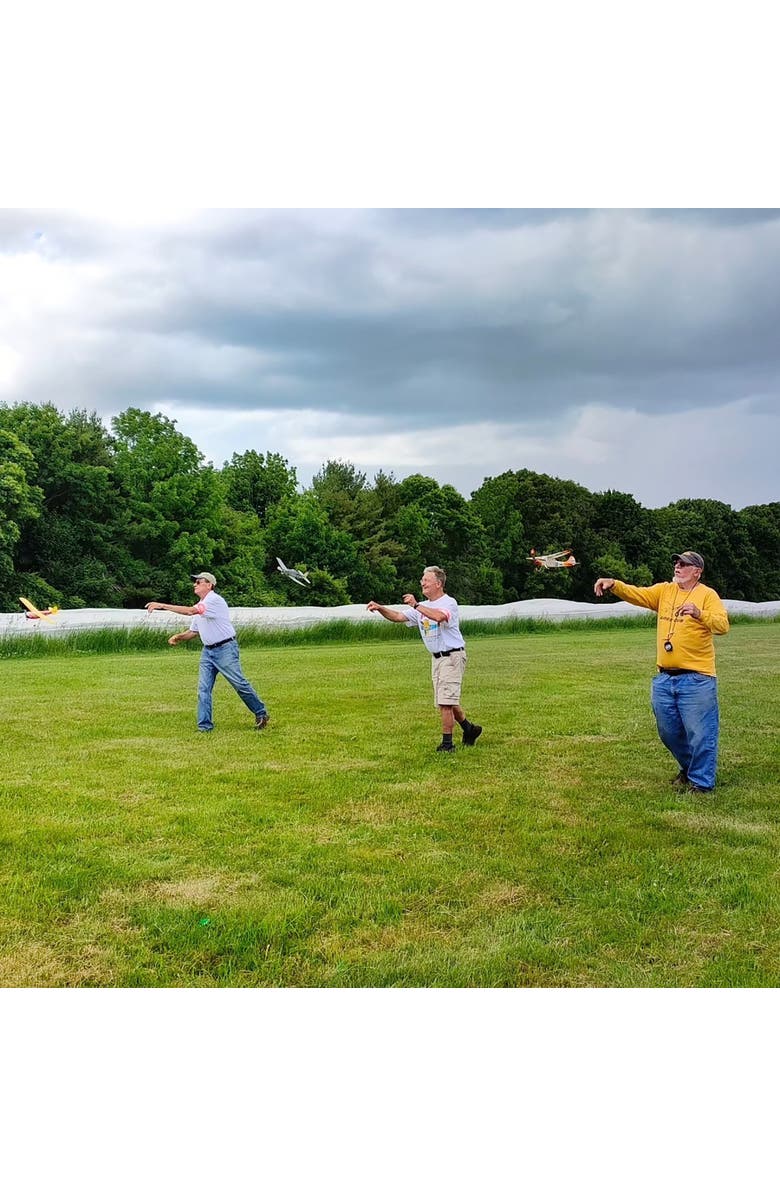 Guillow's Build N Fly Model Kit, Flyboy 4000, Level 4 Learning Series, Diy, Alternate, color, Multicolored