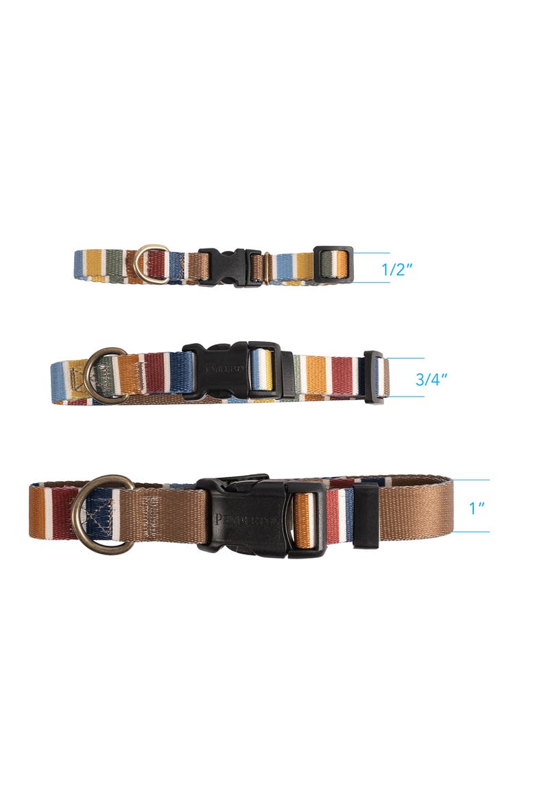 National Park Adventure Collar, Alternate, color, JOSHUA TREE