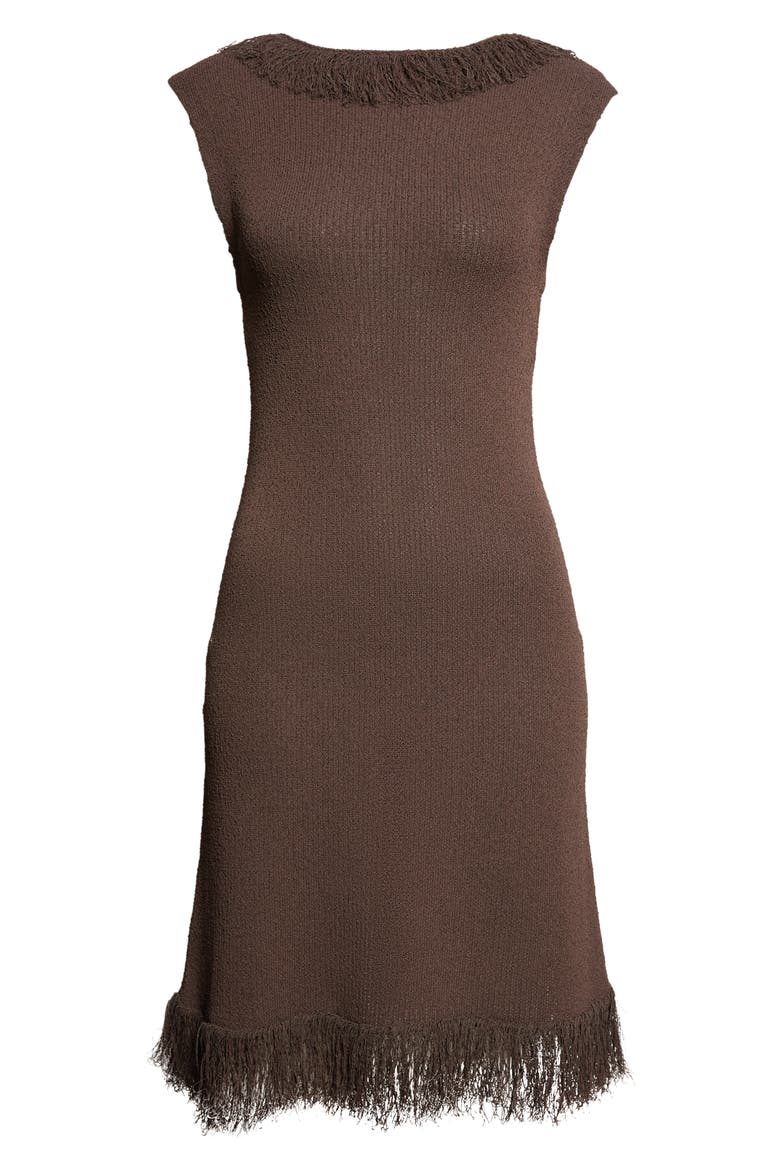 Saski Textured Fringe Sweater Dress, Alternate, color, EARTH