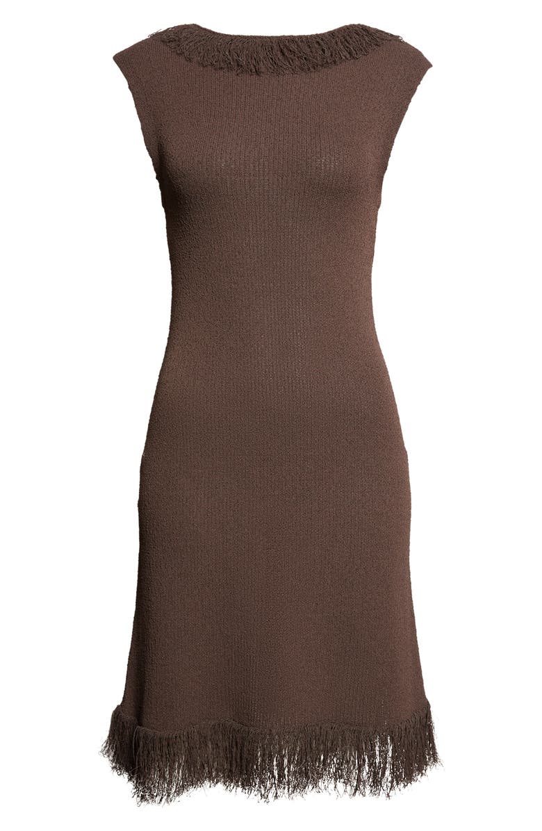 Proenza Schouler Saski Textured Fringe Sweater Dress, Alternate, color, Earth