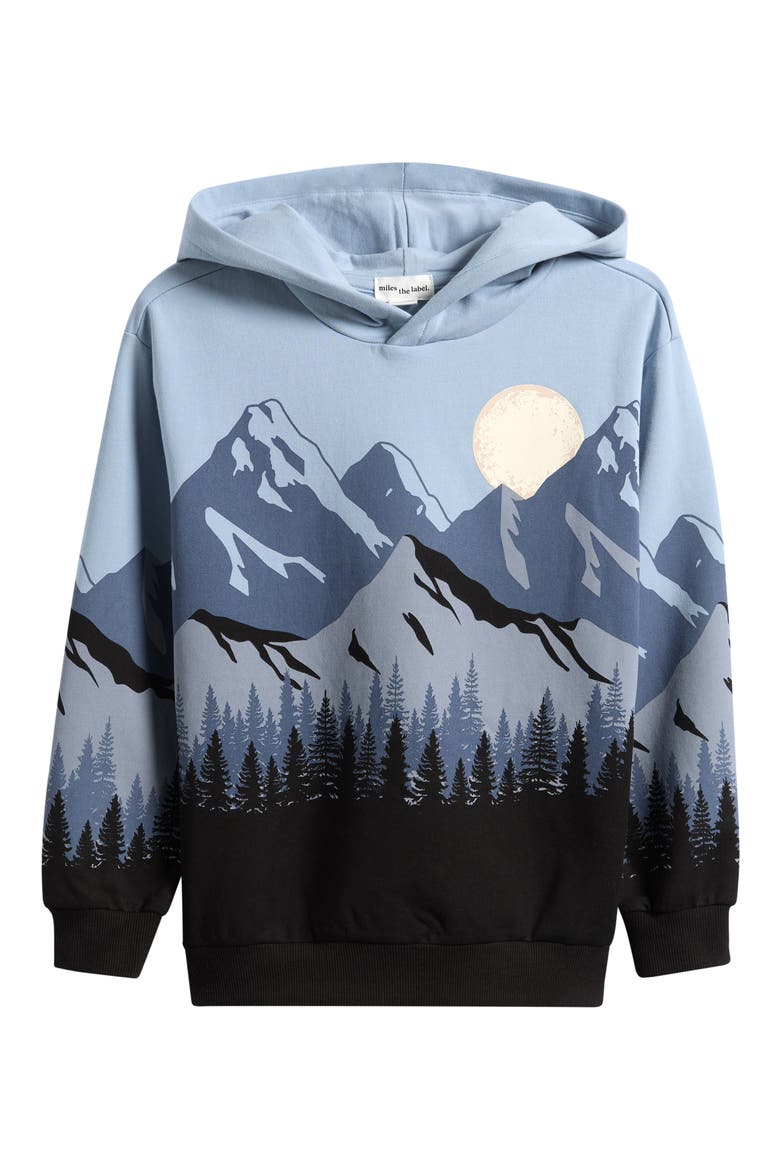Kids' Print Hoodie, Main, color, DUSTY BLUE