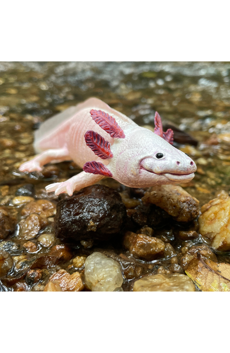 Safari Ltd. Axolotl Toy, Alternate, color, NO COLOR