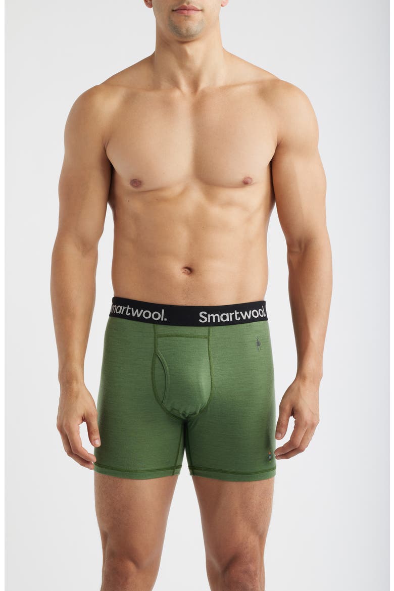 Merino Boxer Briefs, Main, color, FERN GREEN