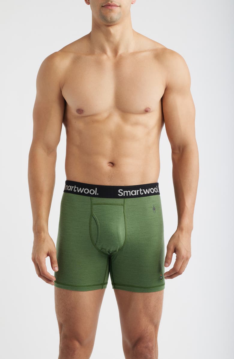 Smartwool Merino Boxer Briefs, Main, color, Fern Green