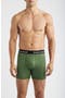 selected Fern Green
