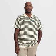 Nike Men's Nike Cream Michigan State Spartans Primary Logo Striped Dri-FIT Polo