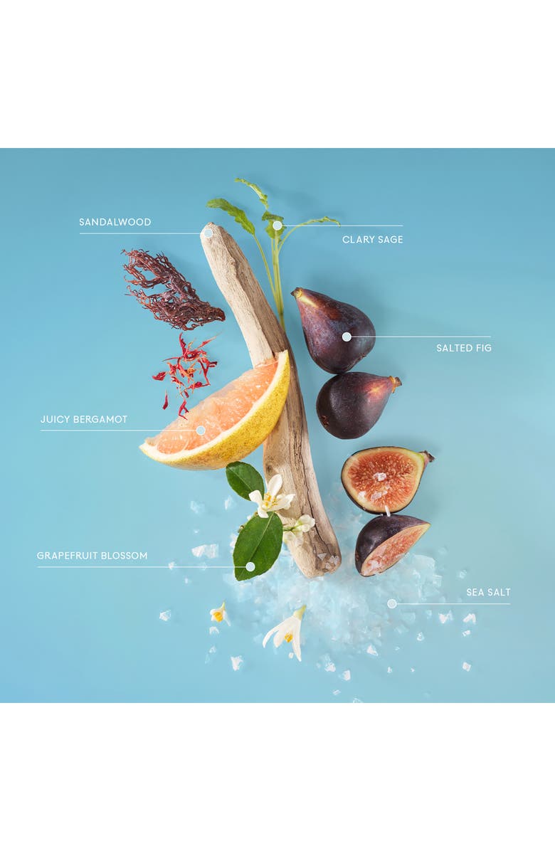 Lake & Skye 333 Sheer Fig + Salt Hair & Body Mist, Alternate, color, 