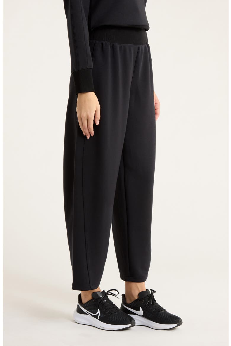 Brushed AirEssentials® Luxe Ankle Pants, Alternate, color, VERY BLACK