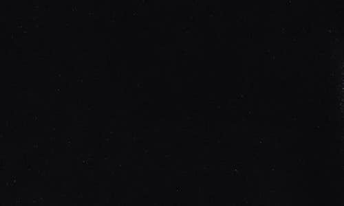 Alex Evenings Stretch Velvet Top In Black