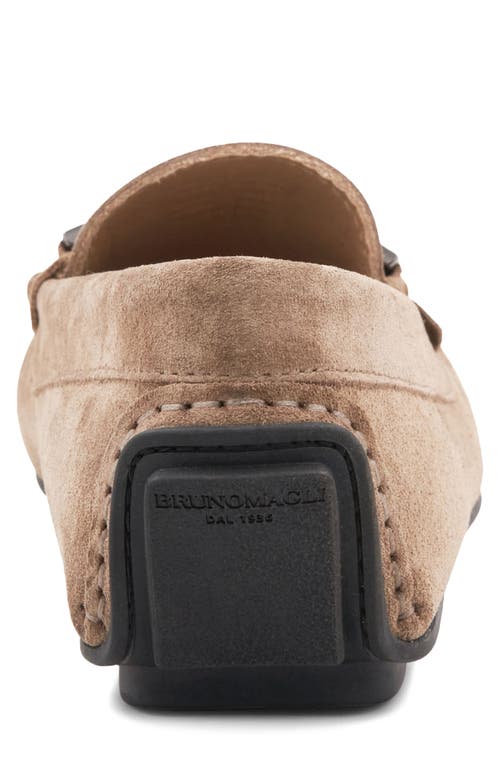 Bruno Magli Taso Bit Driving Loafer In Taupe Suede