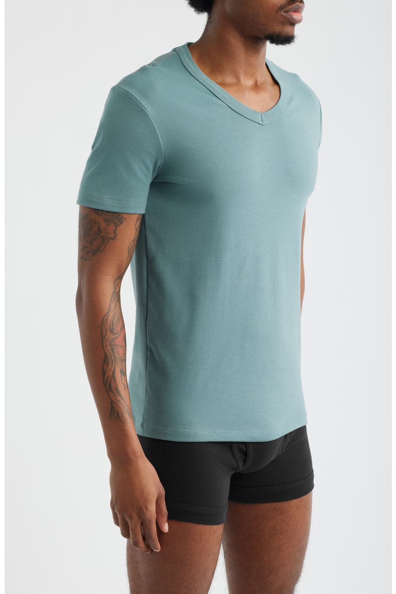 Cotton Jersey V-Neck T-Shirt, Alternate, color, TEAL