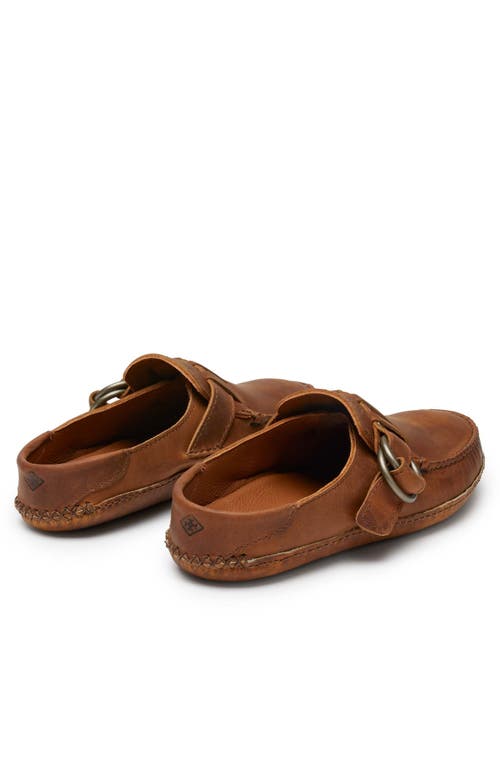 Quoddy Ring Mule In Brown