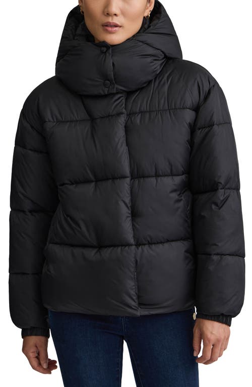 Nvlt Cire Wonder Puffer Jacket With Removable Hood In Black