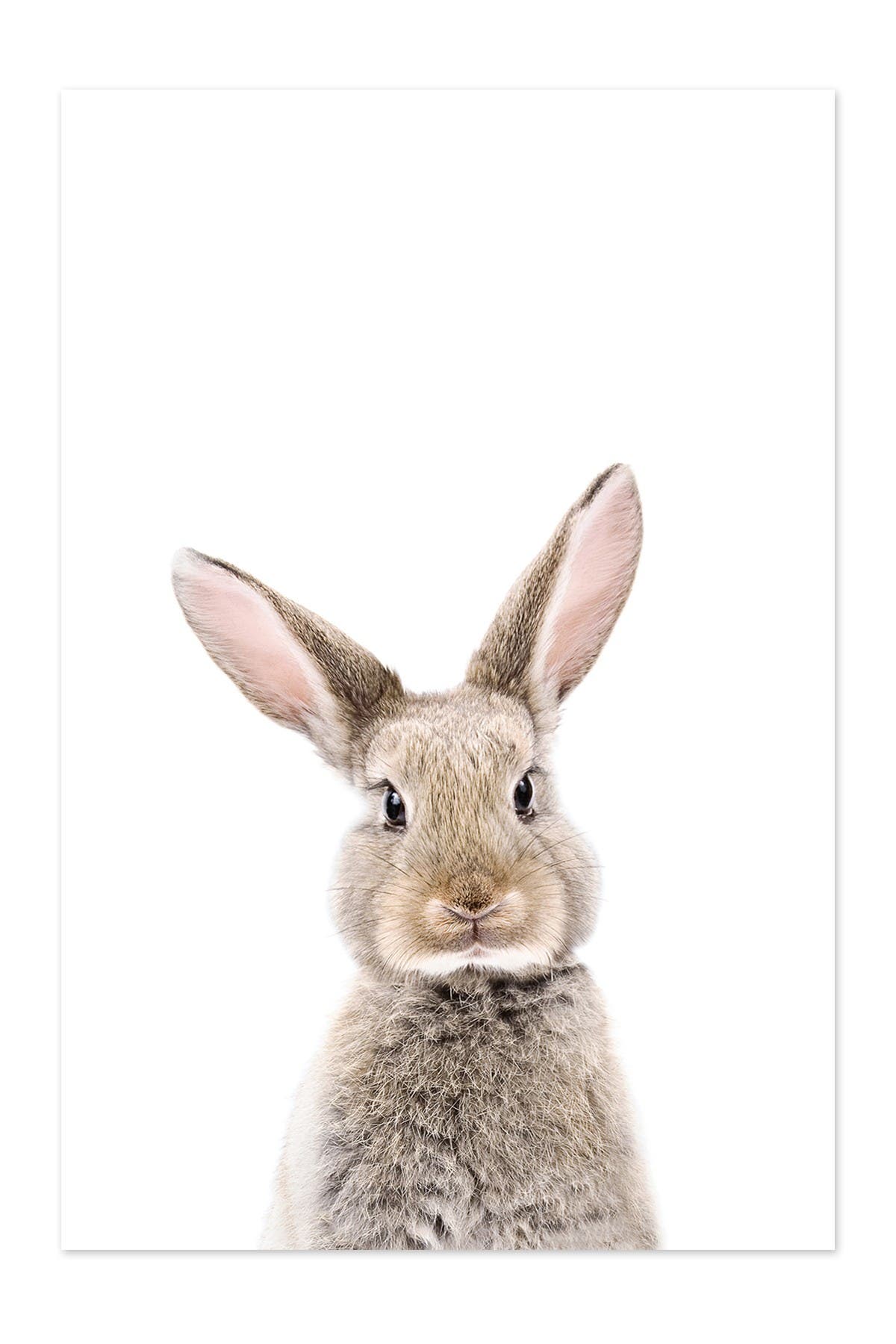 iCanvas Baby Bunny by Sisi & Seb Canvas Wall Art - 18