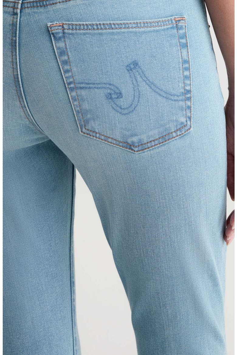 Farrah Mid Rise Ankle Skinny Jeans, Alternate, color, BRIX